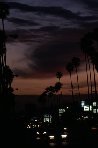 Sunset Boulevard during sunset