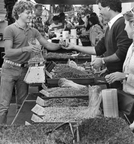 Farmer-Direct Market