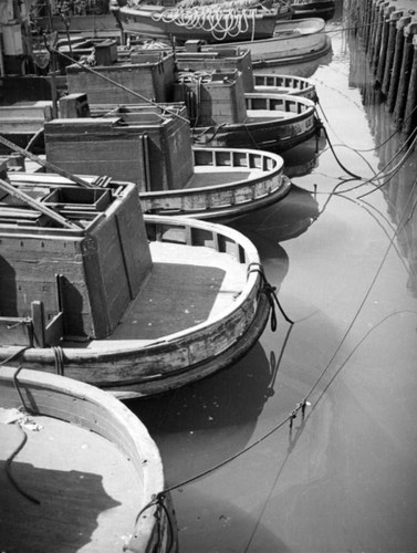 Five boats tied to the same mooring at Terminal Island