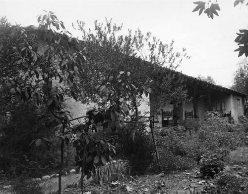 Pio Pico "El Ranchito" adobe, side toward river