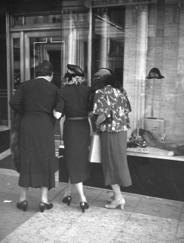 Hollywood Blvd. shoppers