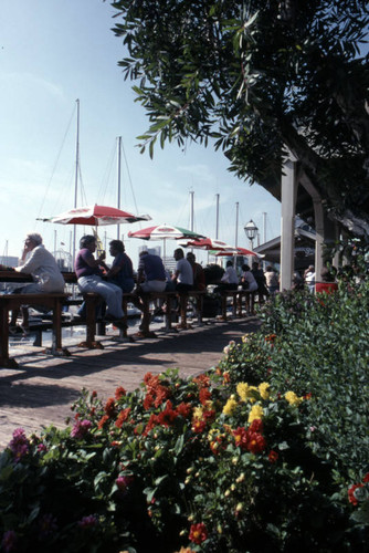 Ciro's Greek Cafe, Shoreline Village