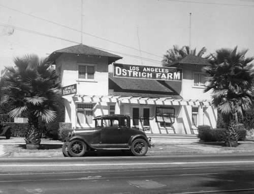 Los Angeles Ostrich Farm exterior