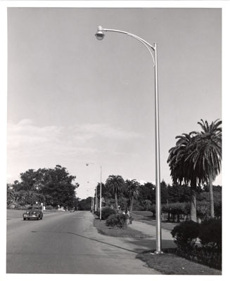 [Road next to the music concourse in Golden Gate Park]