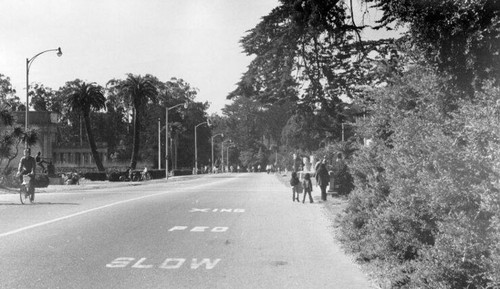[Bicyclists and pedestrians on street in front of the De Young Museum in Drive in Golden Gate Park]