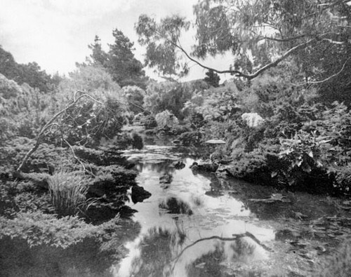 [Creek in Golden Gate Park]