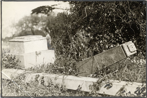 [Overturned gravestones at Laurel Hill Cemetery]