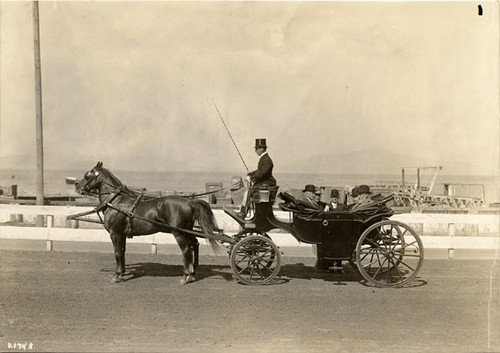 [Society Horse Show at Panama-Pacific International Exposition]