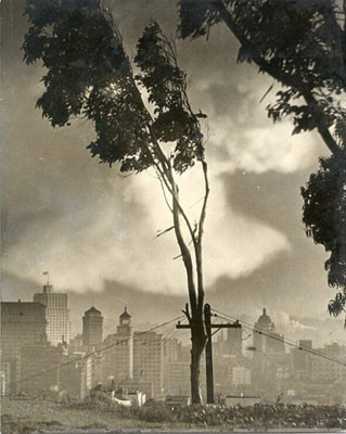 [View of downtown San Francisco from Telegraph Hill]