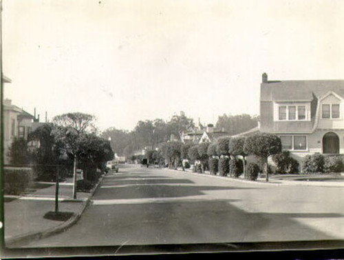 [Wawona Street, south from Vicente]