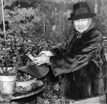 [Mrs. Douglas Crane watering a plant in the Fairmont Hotel garden]