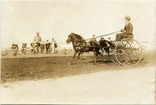 [Society Horse Show at Panama-Pacific International Exposition]