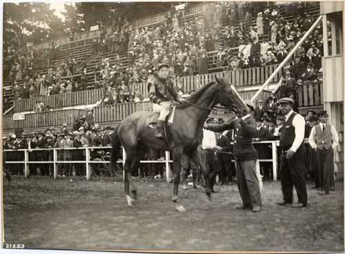 [Entrant in horse race at the Panama-Pacific International Exposition]