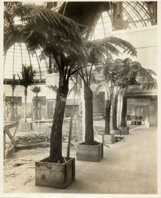 [Trees at Palace of Horticulture]