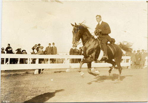 [Society Horse Show at Panama-Pacific International Exposition]