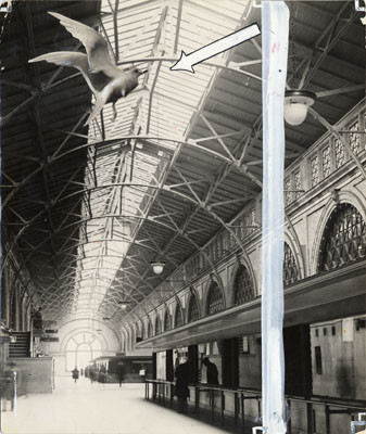 [View of inside of Ferry Building with image of bird superimposed on it]