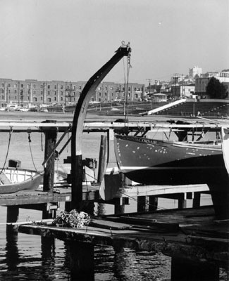 [Boats docked in harbor at Aquatic Park]