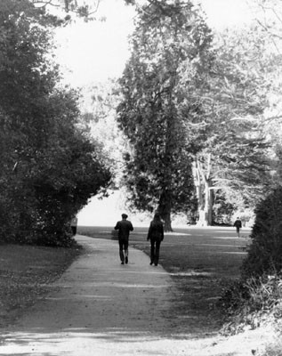 [Two people walking down a path in Golden Gate Park]