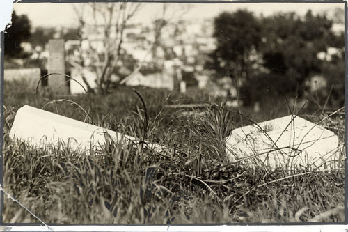 [Overturned gravestones at Laurel Hill Cemetery]