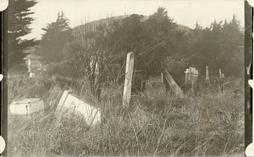 [Overturned gravestones at Laurel Hill Cemetery]