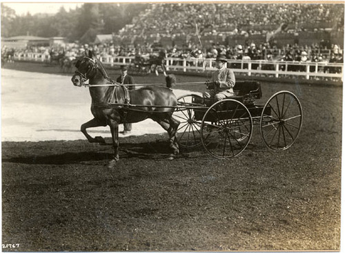 [Society Horse Show at Panama-Pacific International Exposition]