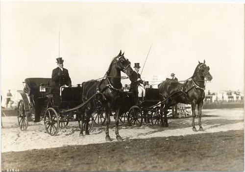 [Society Horse Show at Panama-Pacific International Exposition]