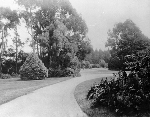 [Walking path in Golden Gate Park]