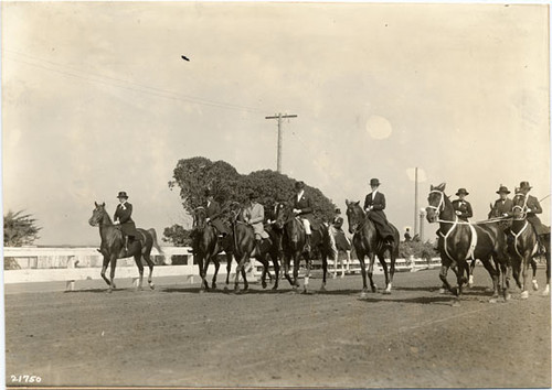 [Society Horse Show at Panama-Pacific International Exposition]