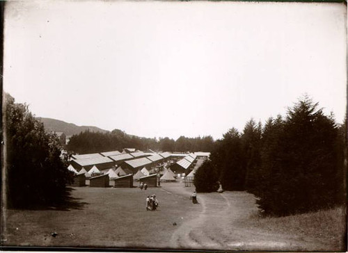 [Refugee camp in Golden Gate Park]