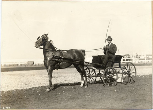 [Society Horse Show at Panama-Pacific International Exposition]