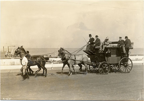 [Society Horse Show at Panama-Pacific International Exposition]