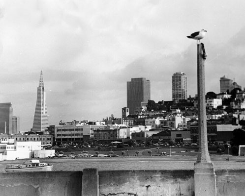 [The city from Aquaduct Pier]