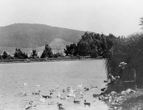 [Lake in Golden Gate Park]