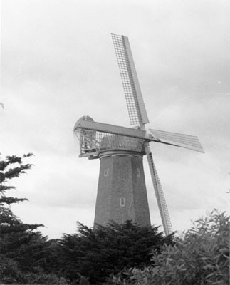 [Windmill in Golden Gate Park]