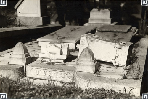 [Overturned gravestones at Laurel Hill Cemetery]