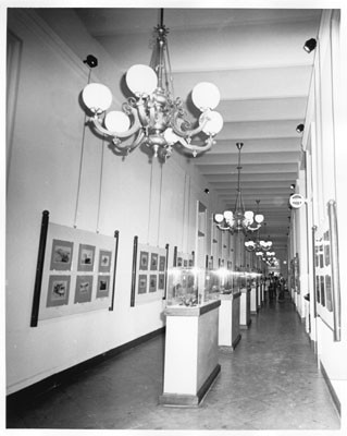 [Exhibition in old Mint building at Fifth and Mission street]