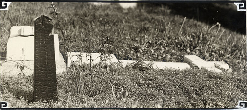 [Overturned gravestones at Laurel Hill Cemetery]