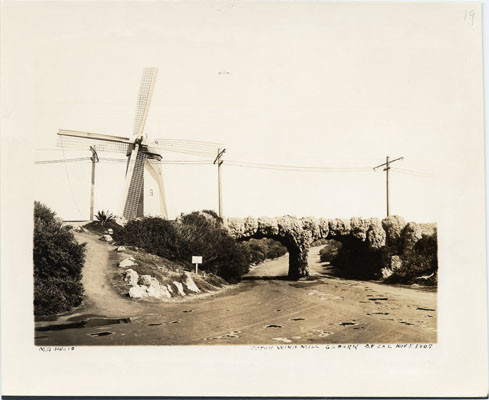 [Dutch windmill, Golden Gate Park]