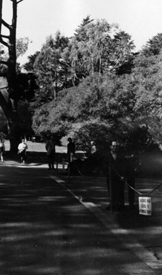 [People standing on a street in Golden Gate Park]