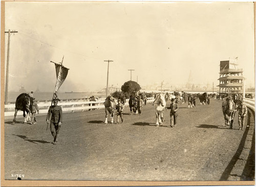 [Society Horse Show at Panama-Pacific International Exposition]