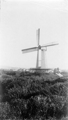 [Windmill in Golden Gate Park]