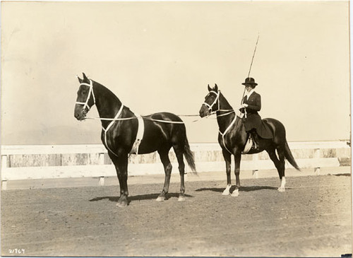 [Society Horse Show at Panama-Pacific International Exposition]