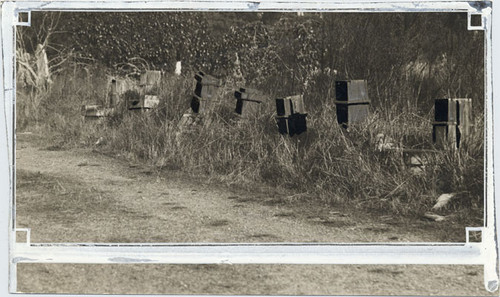 [Laurel Hill Cemetery]