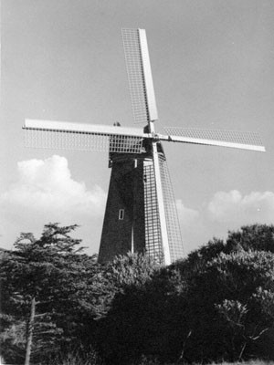 [Windmill in Golden Gate Park]