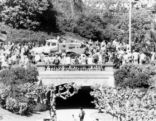 [Crowd in Golden Gate Park during Centennial celebration]