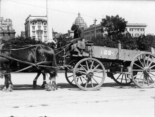 [Driver with horse and carriage at Union Square]