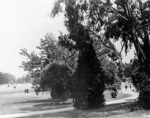 [Path in Golden Gate Park]