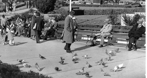 [People at leisure in Union Square Park]