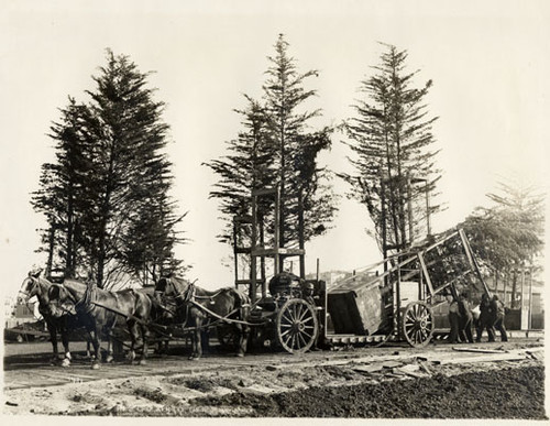 [Transporting redwoods by horses, Panama-Pacific International Exposition]