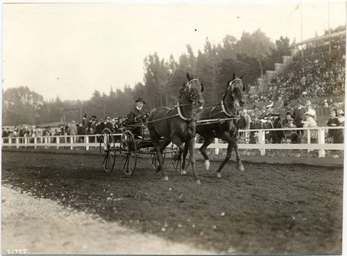 [Society Horse Show at Panama-Pacific International Exposition]